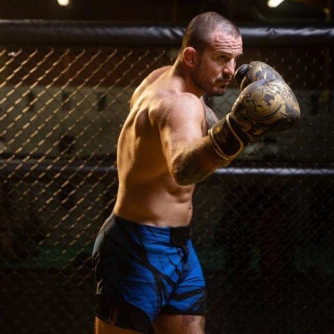 Rękawice bokserskie 8oz - Gold Dragon - Valor Series