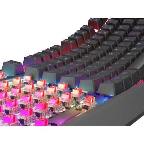 GENESIS Thor 230 TKL klawiatura Gaming USB QWERTY Hiszpański Czarny