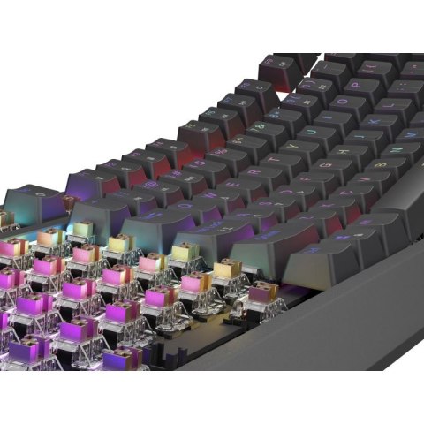 GENESIS Thor 230 TKL klawiatura Gaming USB QWERTY US English Czarny
