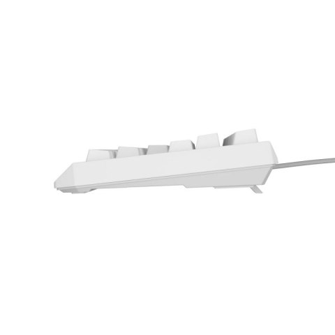 GENESIS Thor 230 TKL klawiatura USB + RF QWERTY