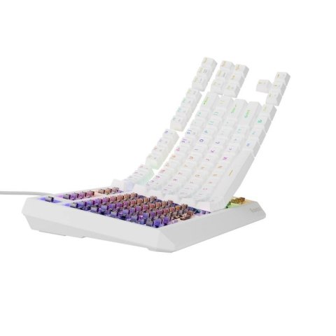 GENESIS Thor 230 TKL klawiatura USB + RF QWERTY