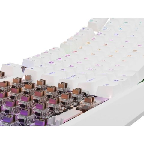 GENESIS Thor 230 TKL klawiatura USB + RF QWERTY