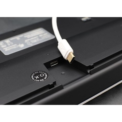 Ducky One 2 White Edition klawiatura Uniwersalne USB Niemiecki Biały