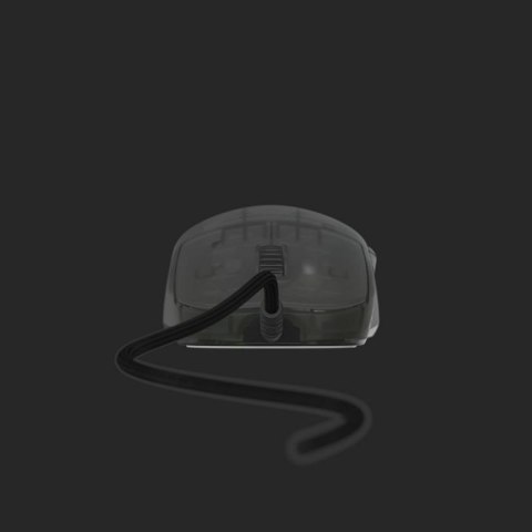 Endgame Gear OP1 RGB myszka Gaming Po prawej stronie USB Typu-A Optyczny 26000 DPI