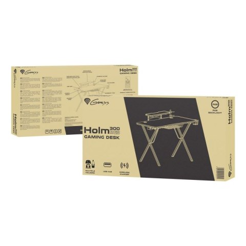 GENESIS BIURKO GAMINGOWE HOLM 300 RGB