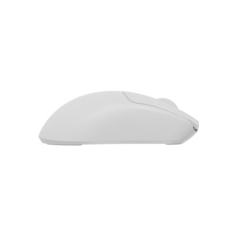 GENESIS Zircon 500 myszka Gaming Po prawej stronie RF Wireless + Bluetooth + USB Type-C Optyczny 10000 DPI