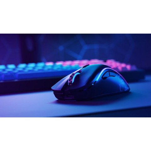 Glorious PC Gaming Race GLO-MS-DW-MB myszka Po prawej stronie RF Wireless 19000 DPI