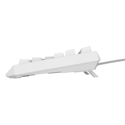 Klawiatura GENESIS Thor 230 TKL Gaming USB QWERTY US English Biały