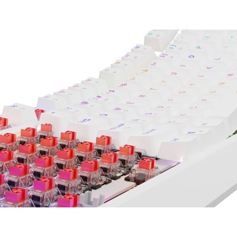 Klawiatura GENESIS Thor 230 TKL Gaming USB QWERTY US English Biały