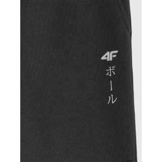 Spodnie dresowe joggery chłopięce 4F 4FJRAW25TTROM1663-20S
