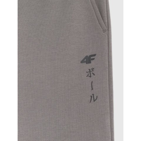 Spodnie dresowe joggery chłopięce 4F 4FJRAW25TTROM1663-24S