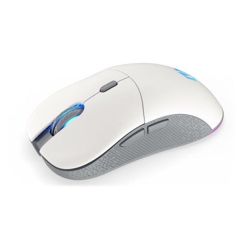Mysz ENDORFY GEM Plus Wireless Onyx White