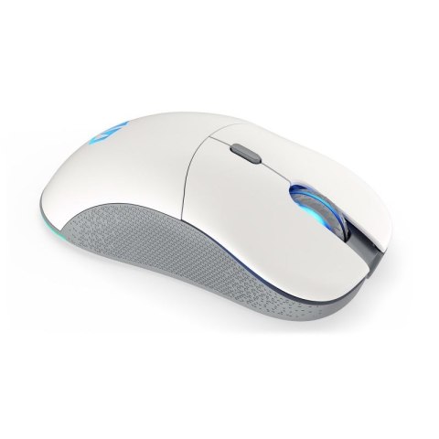 Mysz ENDORFY GEM Plus Wireless Onyx White
