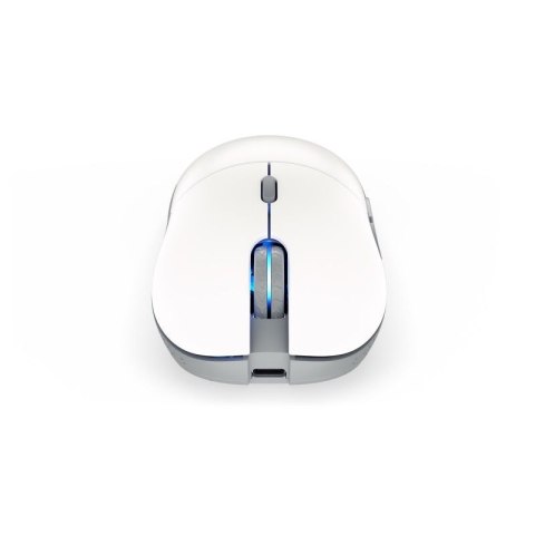 Mysz ENDORFY GEM Plus Wireless Onyx White