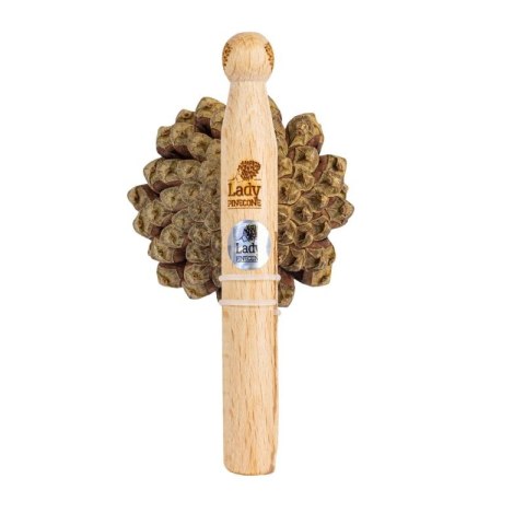 Zestaw Pani Szyszka VERTICAL SINUSITIS 1 x Pani Szyszka + 1 mieszanka olejków eterycznych (LP-VERTICAL-SINUSITIS)