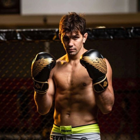 Rękawice bokserskie 8oz - Hawk - Origin Series