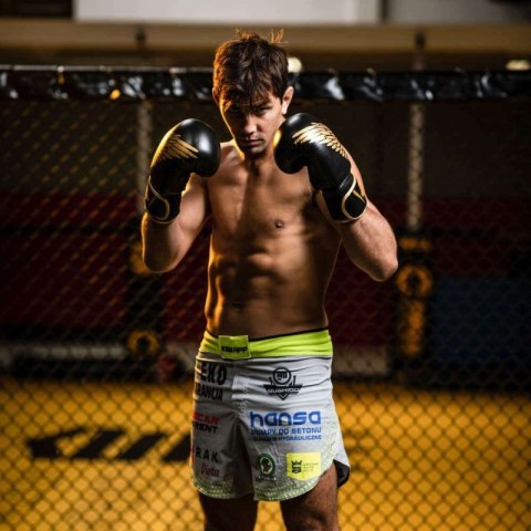 Rękawice bokserskie 8oz - Hawk - Origin Series