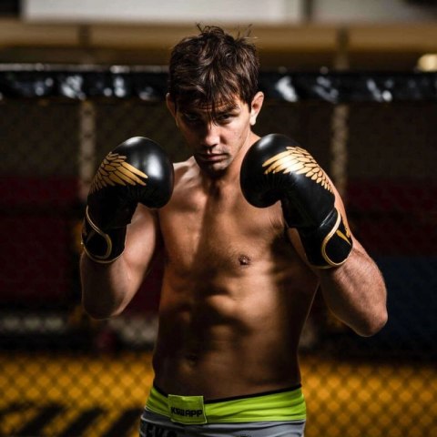 Rękawice bokserskie 8oz - Hawk - Origin Series