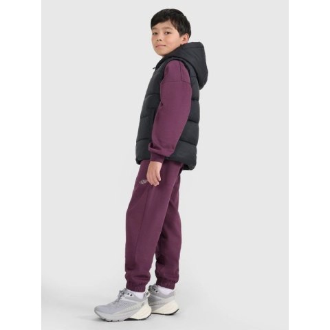 Bezrękawnik puchowy z wypełnieniem syntetycznym dziecięcy 4F 4FJRAW25TVJAU331-20S