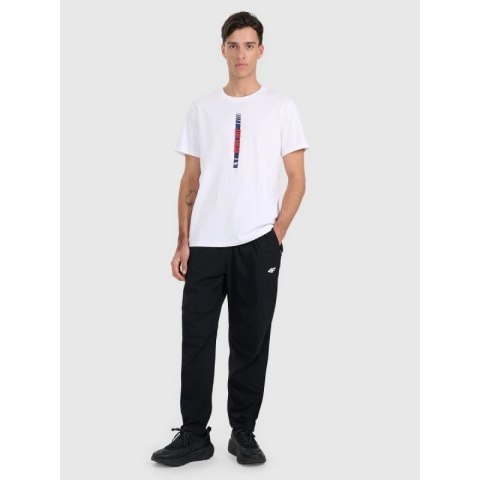T-shirt regular z nadrukiem męski 4F 4FRAW25TTSHM3225-10S