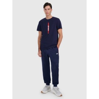T-shirt regular z nadrukiem męski 4F 4FRAW25TTSHM3225-31S