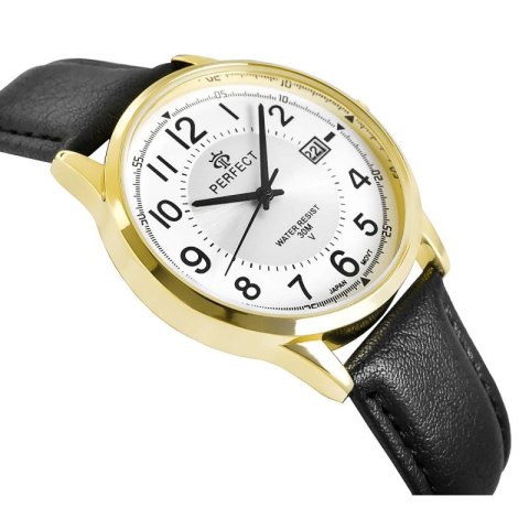 Zegarek Męski PERFECT C710T-09