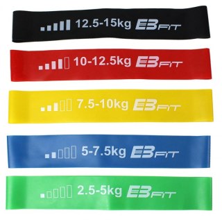 Zestaw gum do ćwiczeń Fitnnes Crosfit mini Band 5w1 EB FIT 1028842