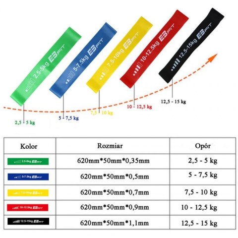 Zestaw gum do ćwiczeń Fitnnes Crosfit mini Band 5w1 EB FIT 1028842