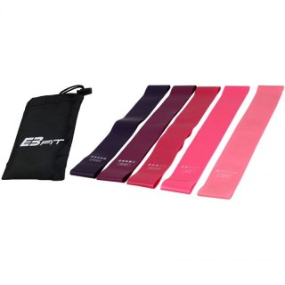Zestaw gum do ćwiczeń Fitnnes Crosfit mini Band 5w1 EB FIT 1028859