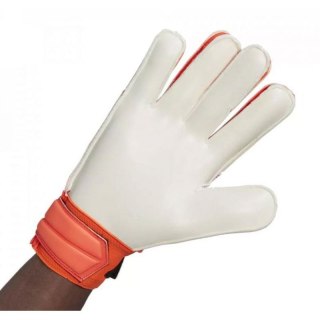 Rękawice bramkarskie adidas Predator Training HC0604
