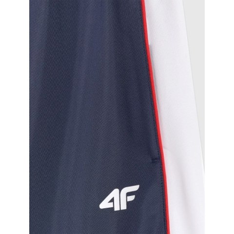 Spodnie dresowe joggery męskie 4F 4FRAW25TTROM1611-31S