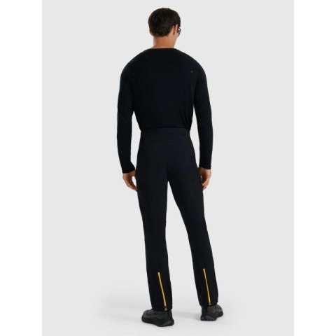 Spodnie trekkingowe męskie 4F 4FRAW25TFTRM1233-20S