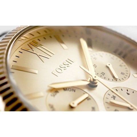 Zegarek Damski FOSSIL Rye BQ3692+ BOX